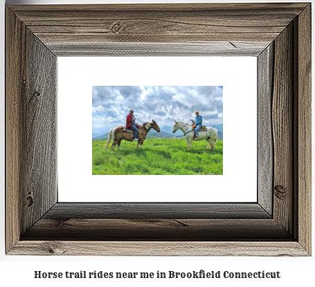 horse trail rides near me in Brookfield, Connecticut